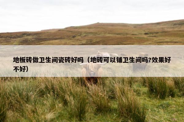 地板砖做卫生间瓷砖好吗（地砖可以铺卫生间吗?效果好不好）