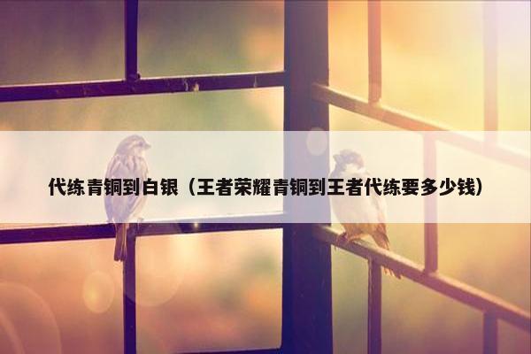 代练青铜到白银（王者荣耀青铜到王者代练要多少钱）