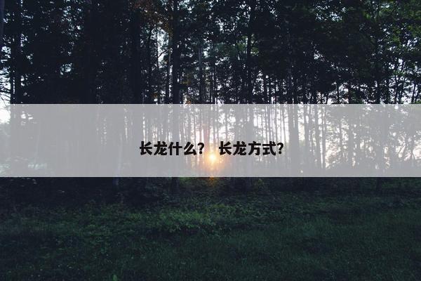 长龙什么？ 长龙方式？