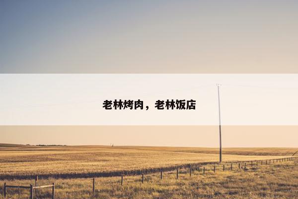 老林烤肉，老林饭店