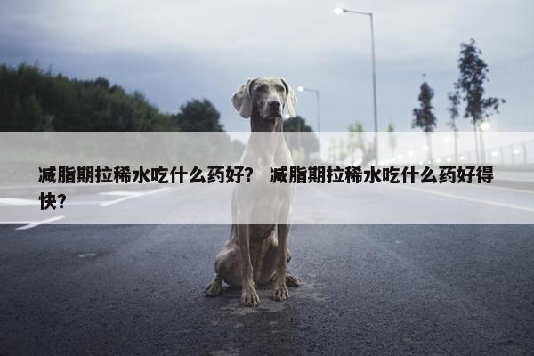 减脂期拉稀水吃什么药好? 减脂期拉稀水吃什么药好得快? 减脂期拉稀水吃什么药好? 减脂期拉稀水吃什么药好得快?