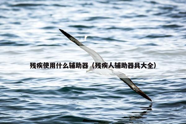 残疾使用什么辅助器（残疾人辅助器具大全）
