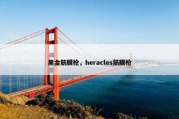 黑金筋膜枪,heracles筋膜枪 黑金筋膜枪,heracles筋膜枪