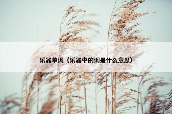 乐器单调(乐器中的调是什么意思) 乐器单调(乐器中的调是什么意思)