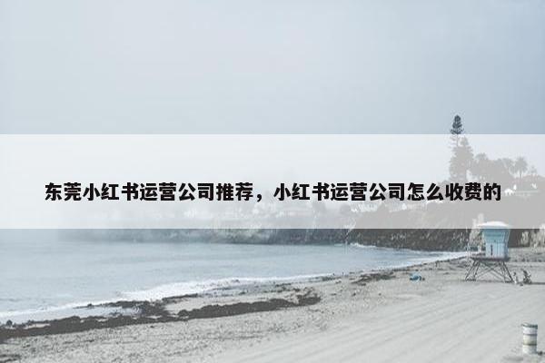 东莞小红书运营公司推荐，小红书运营公司怎么收费的
