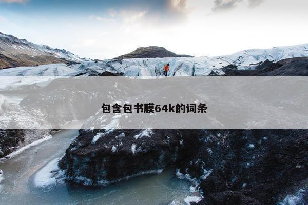 包含包书膜64k的词条