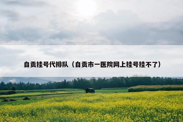 自贡挂号代排队(自贡市一医院网上挂号挂不了) 自贡挂号代排队(自贡市一医院网上挂号挂不了)