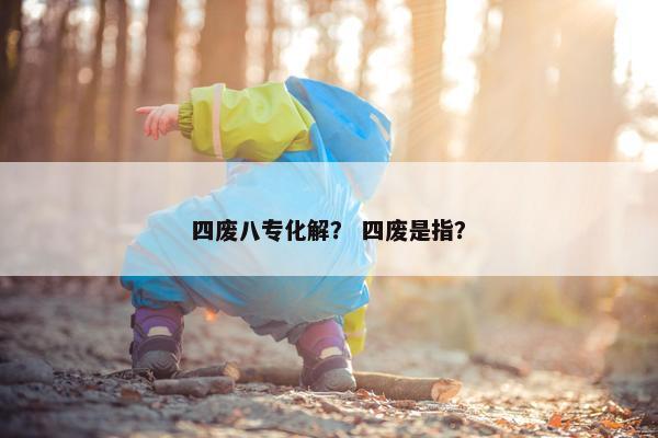 四废八专化解？ 四废是指？