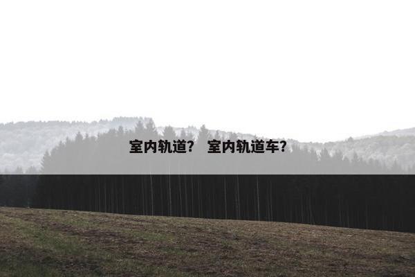 室内轨道？ 室内轨道车？