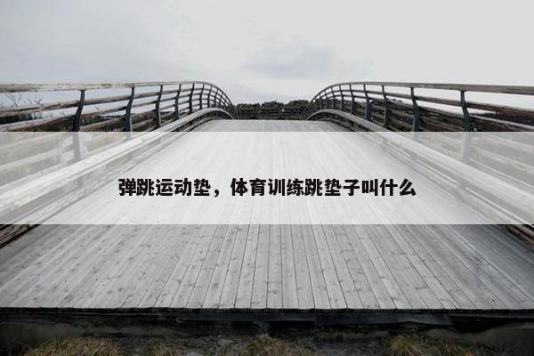 弹跳运动垫,体育训练跳垫子叫什么 弹跳运动垫,体育训练跳垫子叫什么
