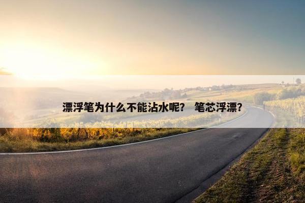 漂浮笔为什么不能沾水呢？ 笔芯浮漂？