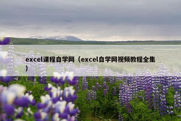 excel课程自学网(excel自学网视频教程全集) excel课程自学网(excel自学网视频教程全集)