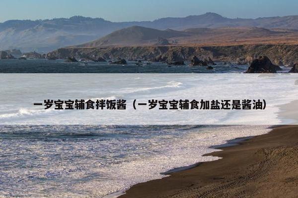 一岁宝宝辅食拌饭酱(一岁宝宝辅食加盐还是酱油) 一岁宝宝辅食拌饭酱(一岁宝宝辅食加盐还是酱油)