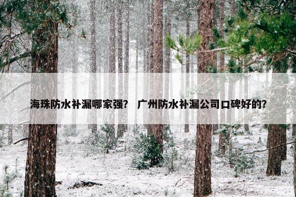 海珠防水补漏哪家强？ 广州防水补漏公司口碑好的？