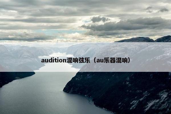 audition混响弦乐（au乐器混响）