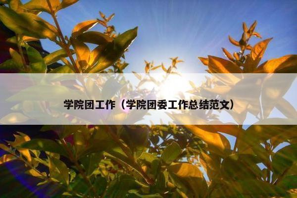 学院团工作（学院团委工作总结范文）