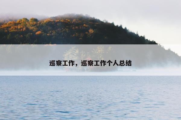 巡察工作，巡察工作个人总结