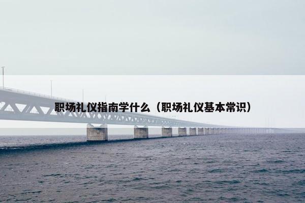 职场礼仪指南学什么（职场礼仪基本常识）