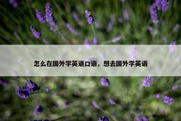 怎么在国外学英语口语，想去国外学英语