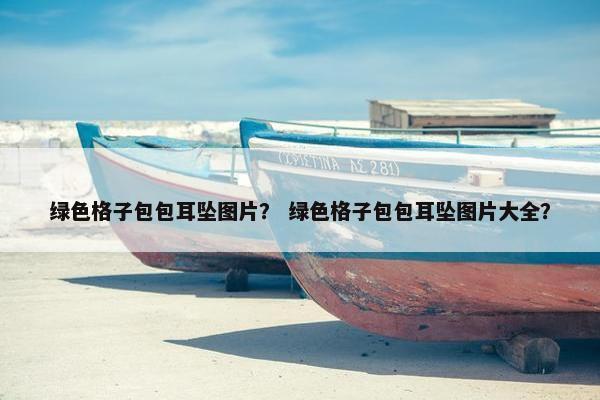 绿色格子包包耳坠图片? 绿色格子包包耳坠图片大全? 绿色格子包包耳坠图片? 绿色格子包包耳坠图片大全?