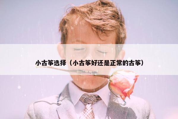 小古筝选择（小古筝好还是正常的古筝）