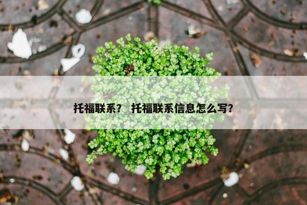 托福联系? 托福联系信息怎么写? 托福联系? 托福联系信息怎么写?