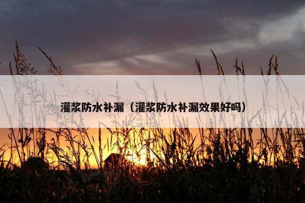 灌浆防水补漏（灌浆防水补漏效果好吗）