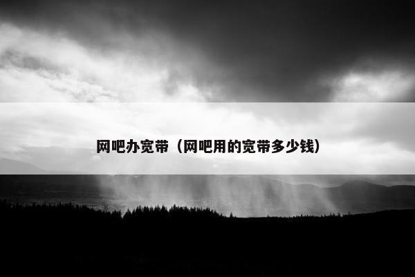 网吧办宽带（网吧用的宽带多少钱）