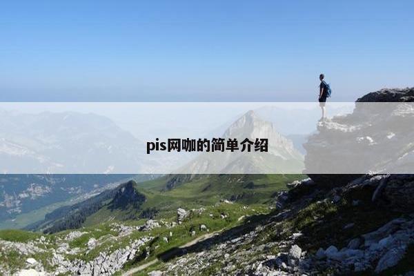 pis网咖的简单介绍 pis网咖的简单介绍