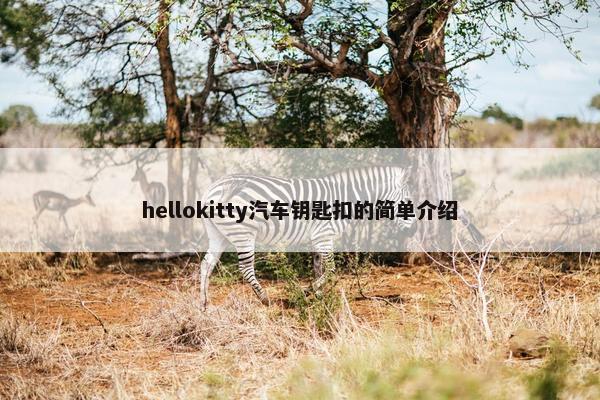 hellokitty汽车钥匙扣的简单介绍