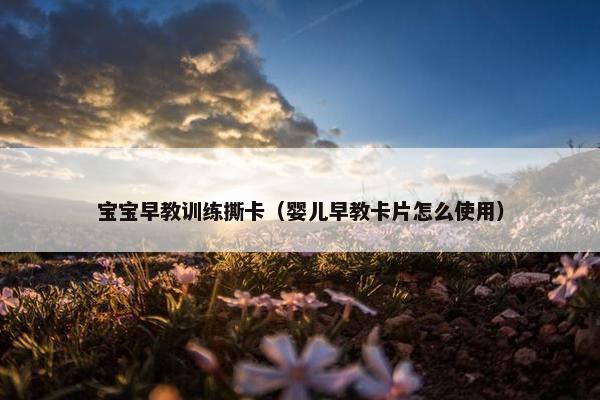 宝宝早教训练撕卡（婴儿早教卡片怎么使用）