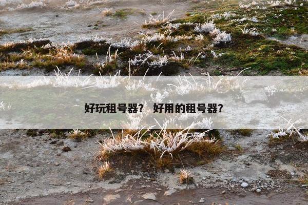 好玩租号器？ 好用的租号器？