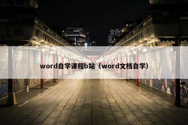 word自学课程b站（word文档自学）