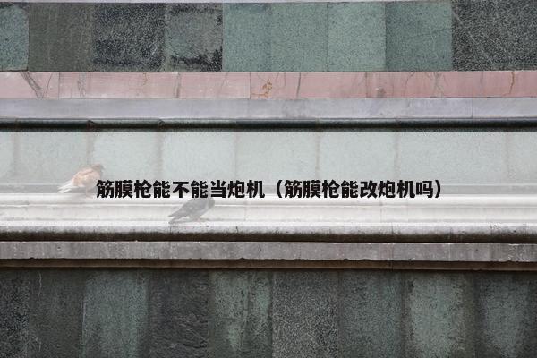 筋膜枪能不能当炮机（筋膜枪能改炮机吗）