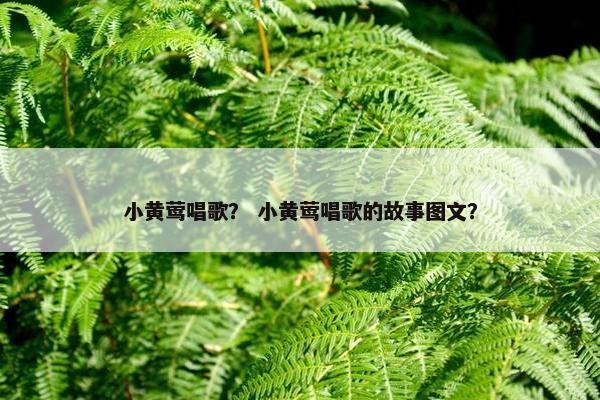 小黄莺唱歌？ 小黄莺唱歌的故事图文？