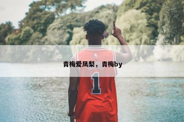 青梅爱凤梨，青梅by