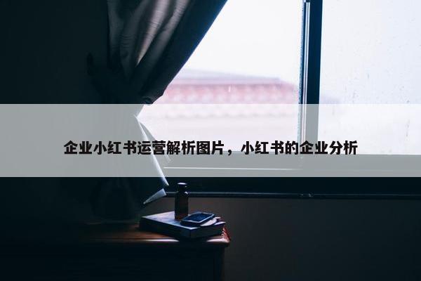 企业小红书运营解析图片，小红书的企业分析