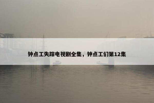 钟点工失踪电视剧全集，钟点工们第12集