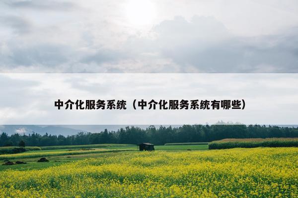 中介化服务系统(中介化服务系统有哪些) 中介化服务系统(中介化服务系统有哪些)