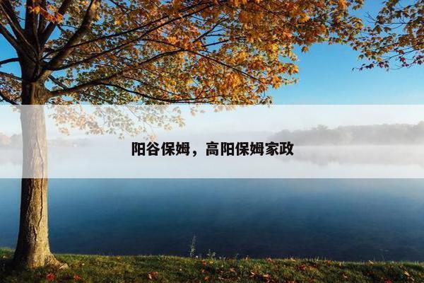 阳谷保姆，高阳保姆家政