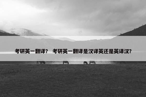 考研英一翻译？ 考研英一翻译是汉译英还是英译汉？