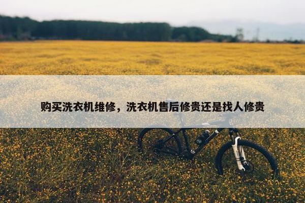 购买洗衣机维修，洗衣机售后修贵还是找人修贵