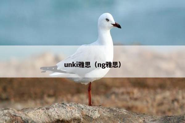 unki雅思（ng雅思）