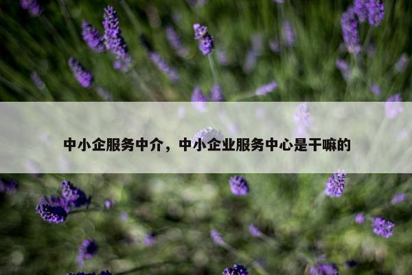 中小企服务中介，中小企业服务中心是干嘛的