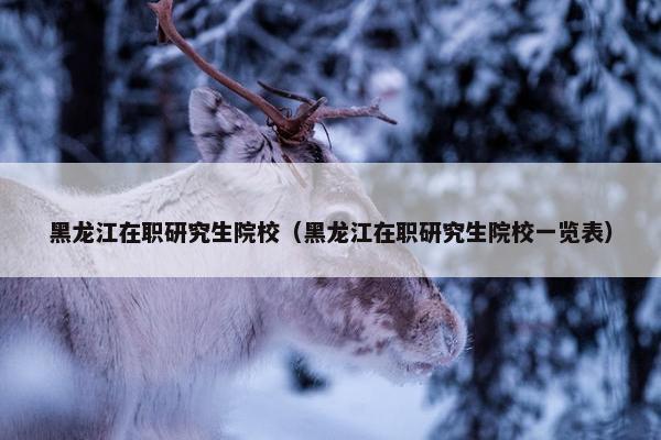 黑龙江在职研究生院校(黑龙江在职研究生院校一览表) 黑龙江在职研究生院校(黑龙江在职研究生院校一览表)
