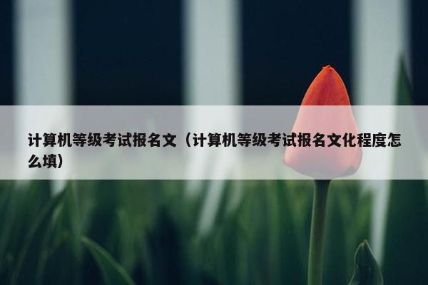 计算机等级考试报名文（计算机等级考试报名文化程度怎么填）