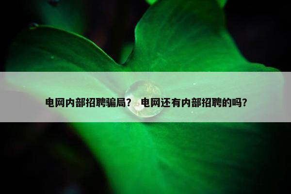 电网内部招聘骗局？ 电网还有内部招聘的吗？