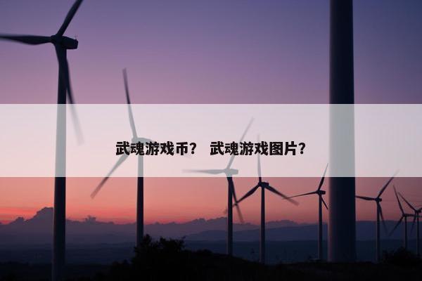 武魂游戏币？ 武魂游戏图片？