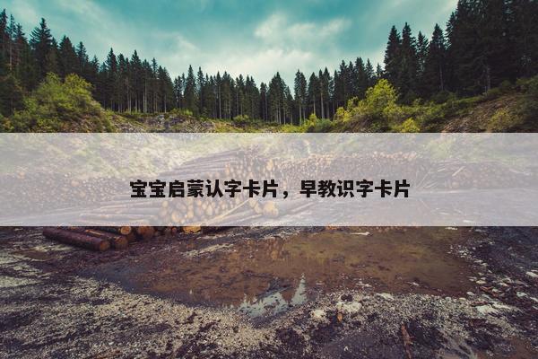 宝宝启蒙认字卡片,早教识字卡片 宝宝启蒙认字卡片,早教识字卡片