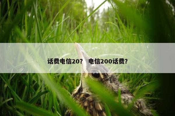话费电信20? 电信200话费? 话费电信20? 电信200话费?